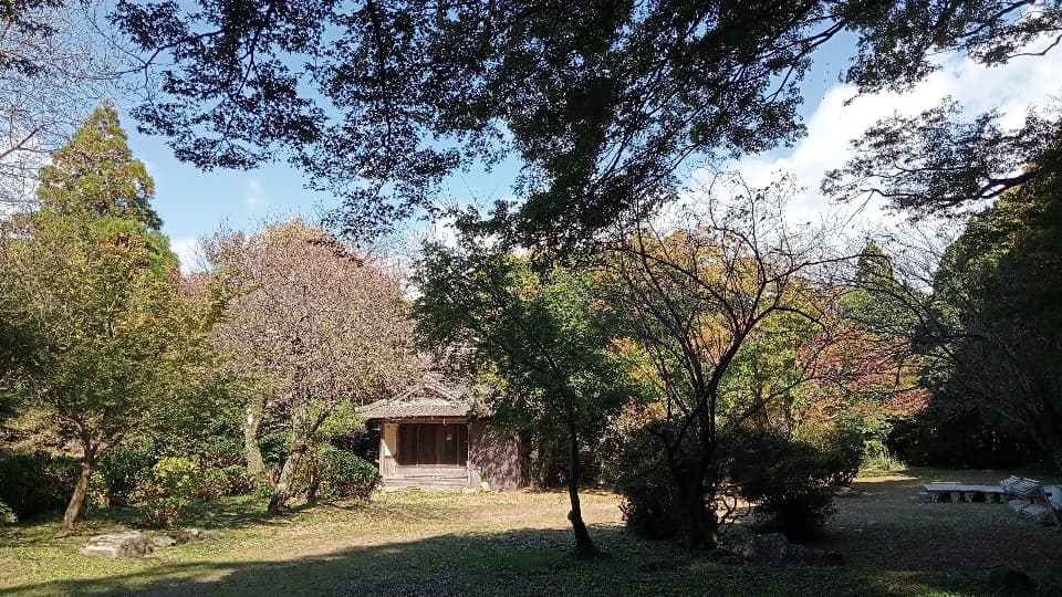 2023年10月29日時点