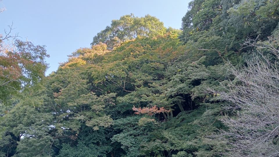 2023年11月3日時点