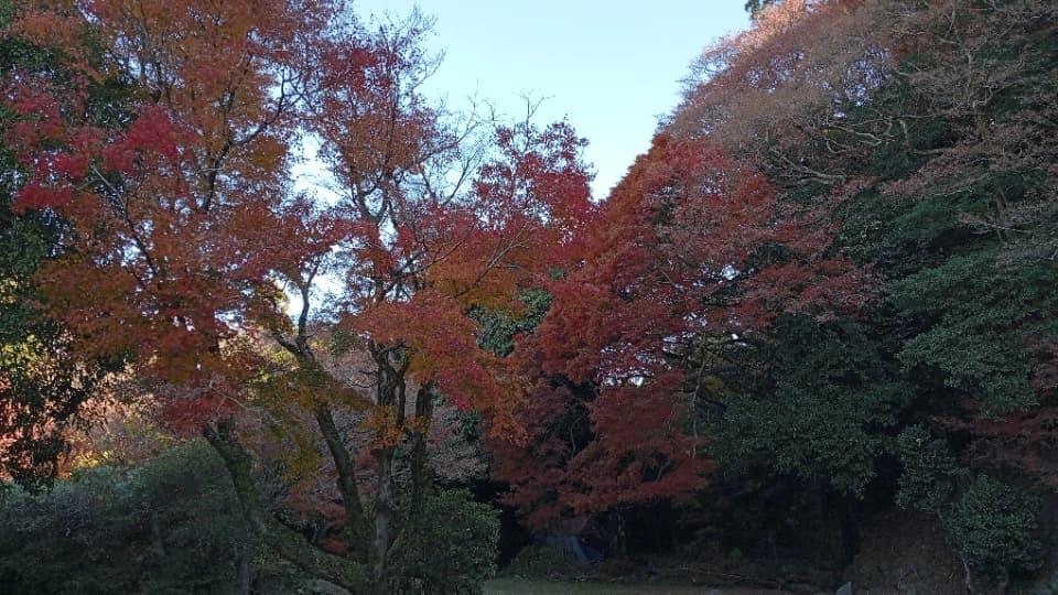 2023年12月2日時点