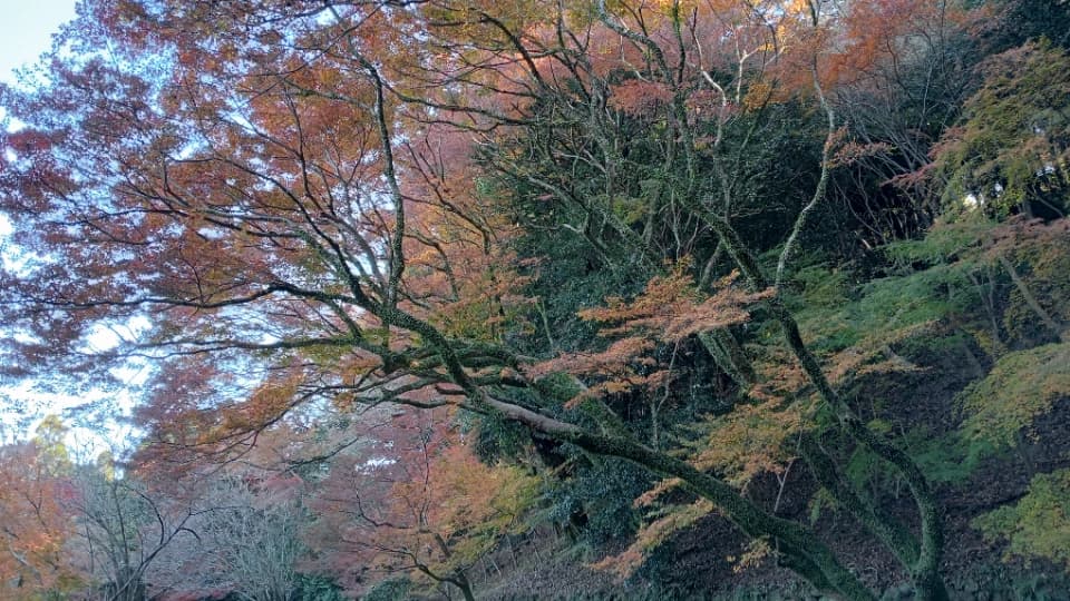 2023年12月2日時点